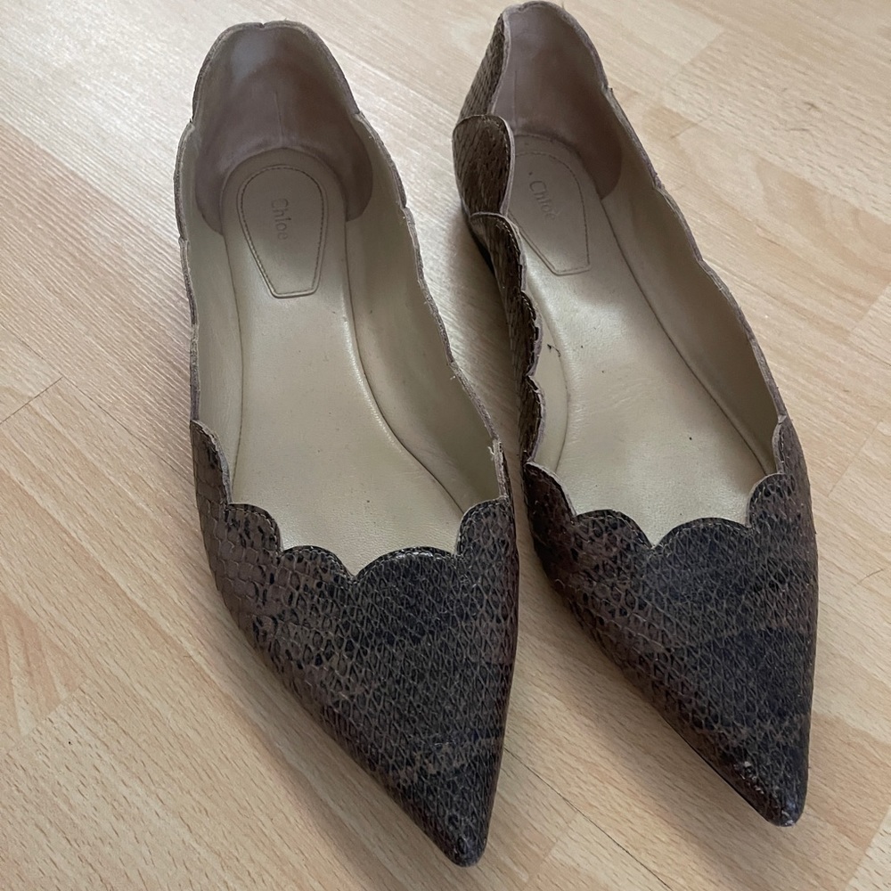 Chloe Brown Pointed Toe Snakeskin Ballet Flats with Scalloped Edges